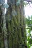 2001101010283601_thumb.jpg