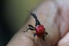 2001101011262501_thumb.jpg